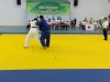 Điều lệ giải vô địch Judo miền đông nam bộ tỉnh Bình Dương mở rộng năm 2018